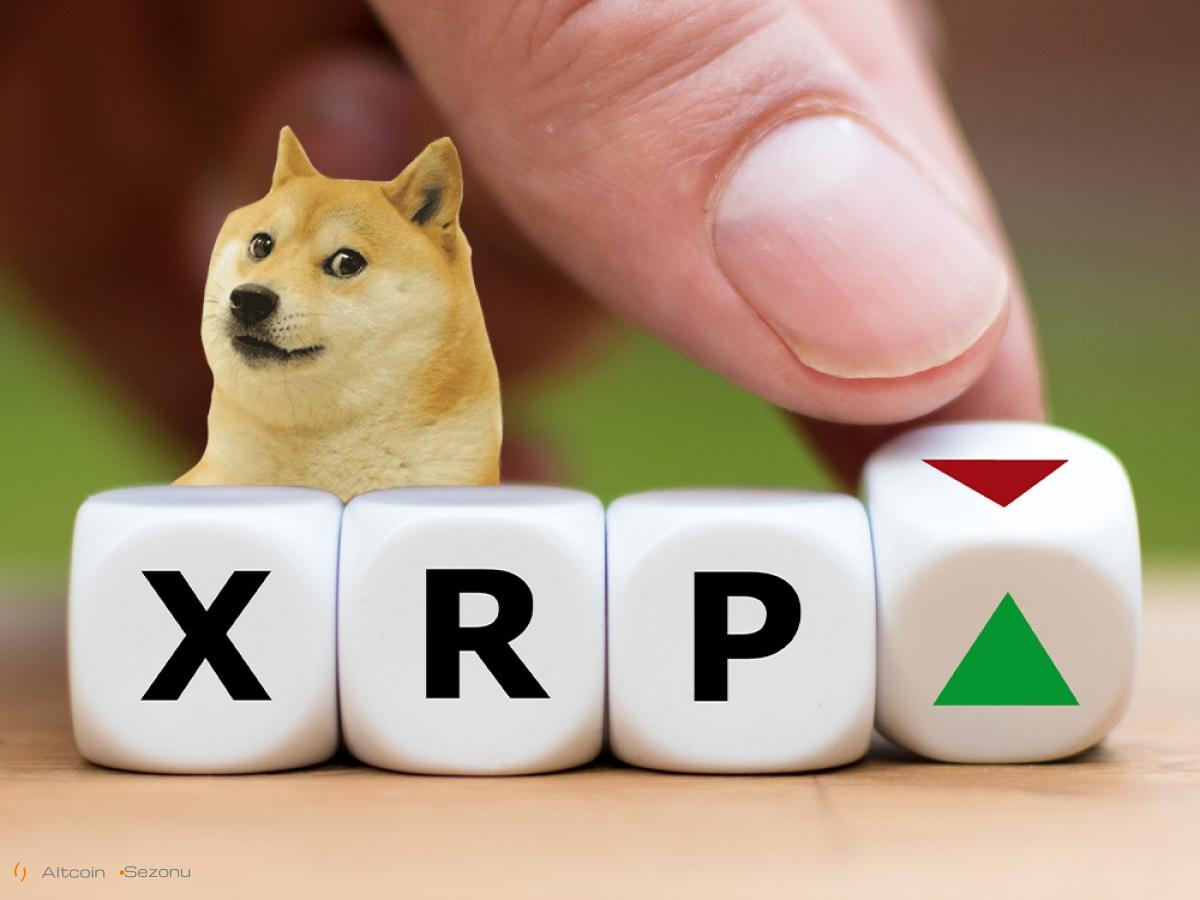 XRP Doge